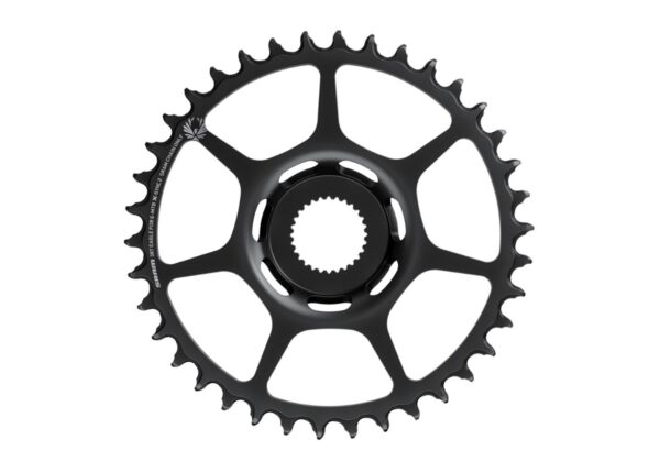 Tannhjól 38T SRAM Bosch